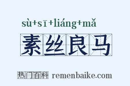 素丝良马是什么意思的图片
